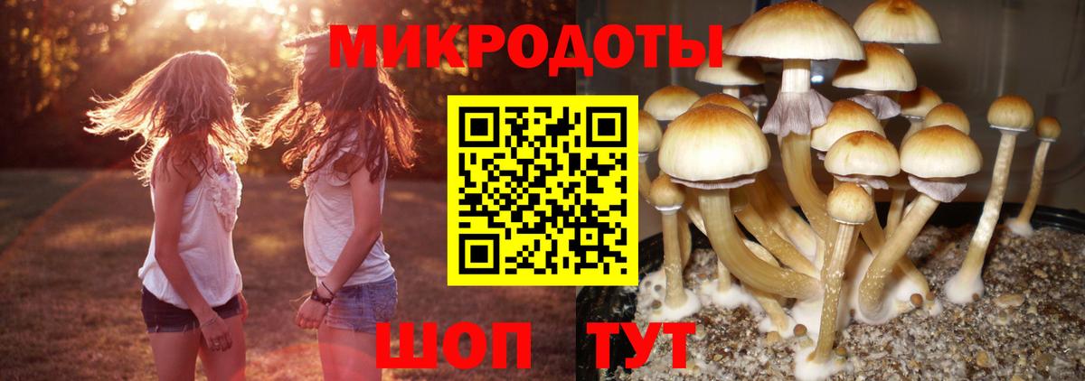Псилоцибиновые грибы прущие грибы  Вход с VPN  Галлюциногенные грибы Psilocybe  Минеральные Воды 